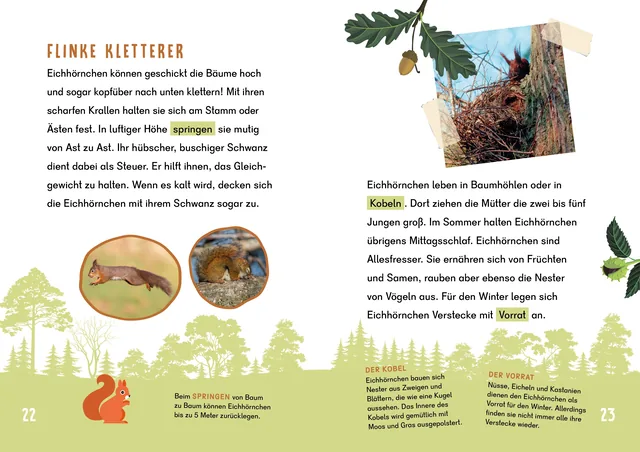 Abbildung 1 von Dein Lesestart - Wald