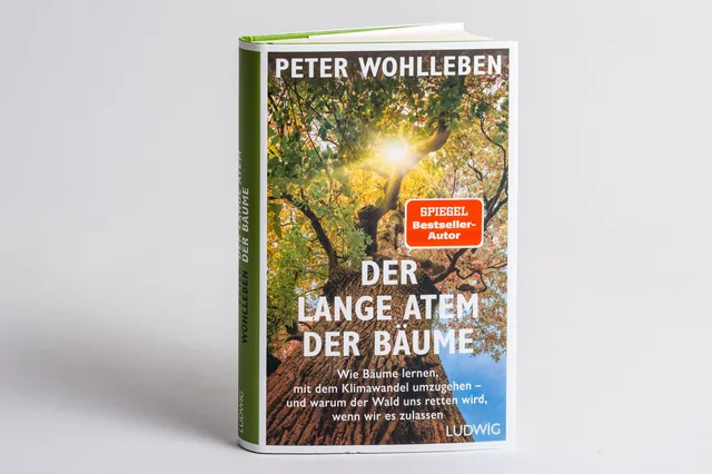 Abbildung 1 von Der lange Atem der Bäume