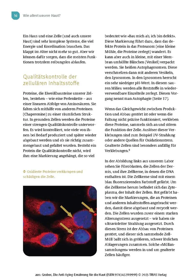 Abbildung 12 von Die Anti-Aging-Ernährung für die Haut