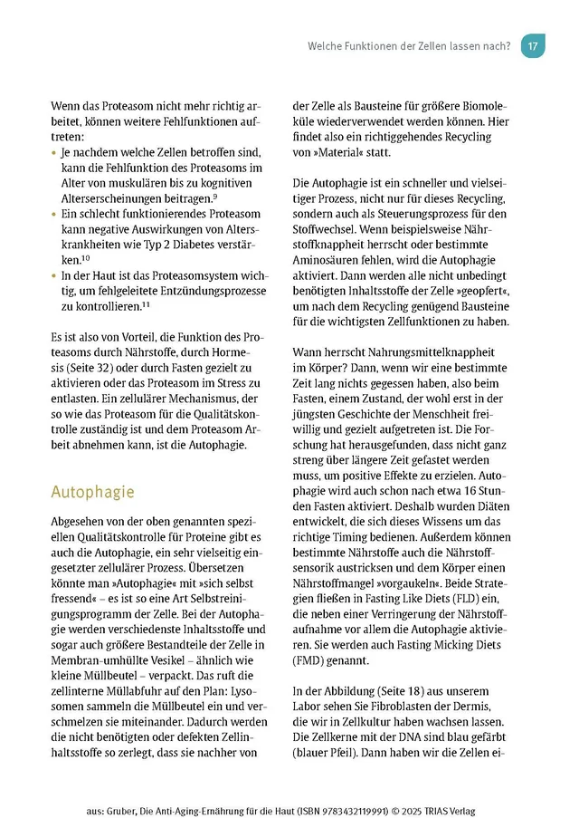Abbildung 13 von Die Anti-Aging-Ernährung für die Haut