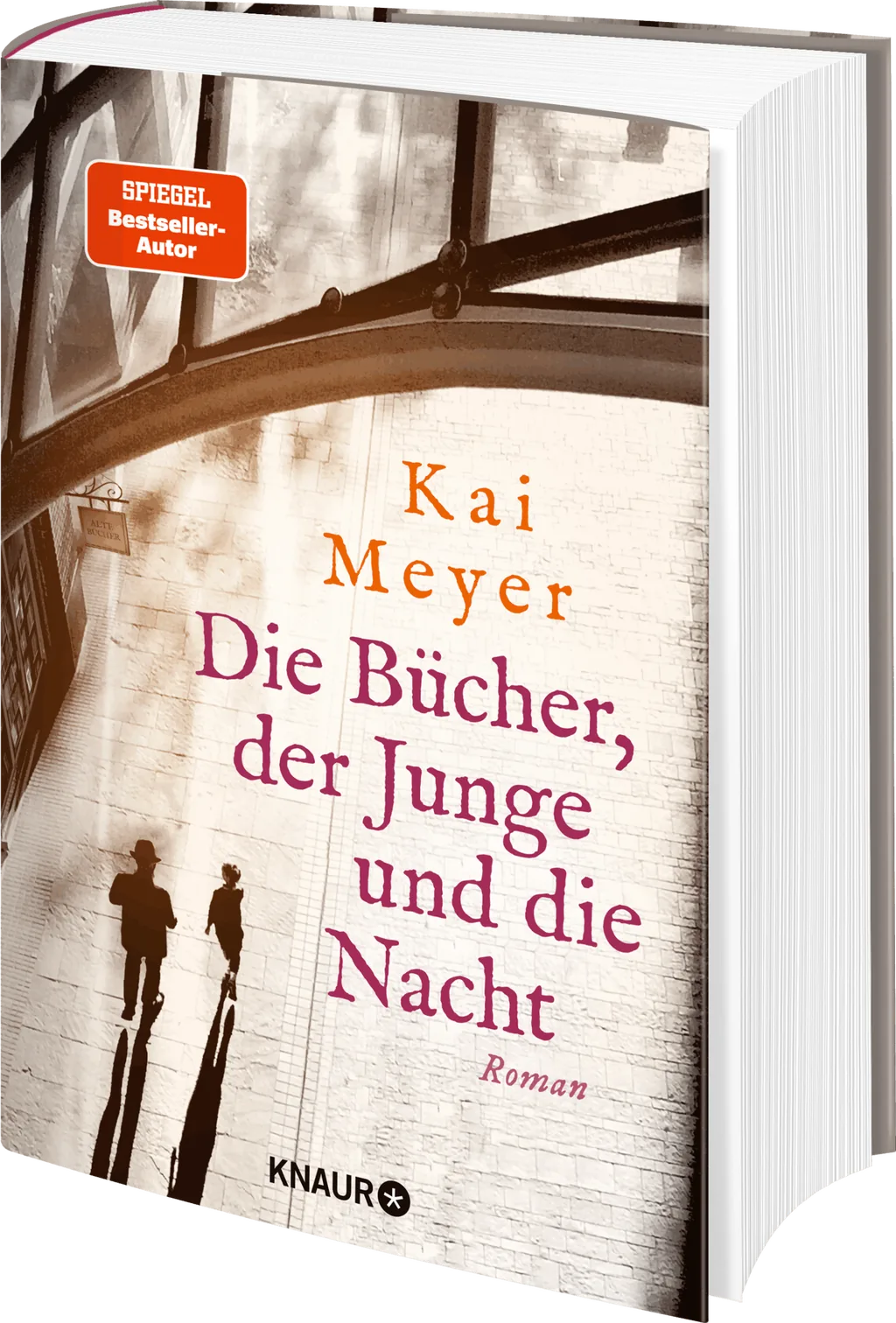 Coverabbildung 1 von Die Bücher, der Junge und die Nacht
