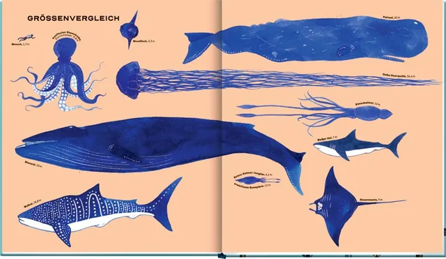 Abbildung 5 von Die geheime Welt der Wale