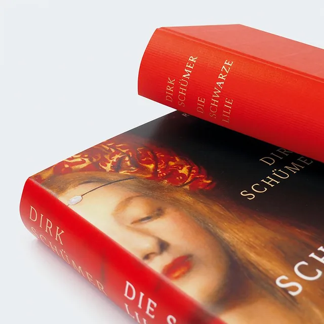 Abbildung 5 von Die schwarze Lilie