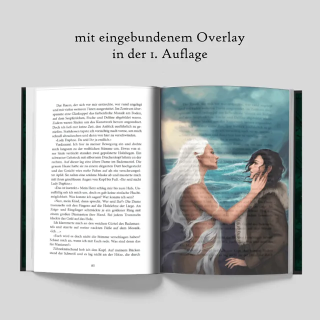 Abbildung 1 von Dragon Games - Flügel aus Stahl
