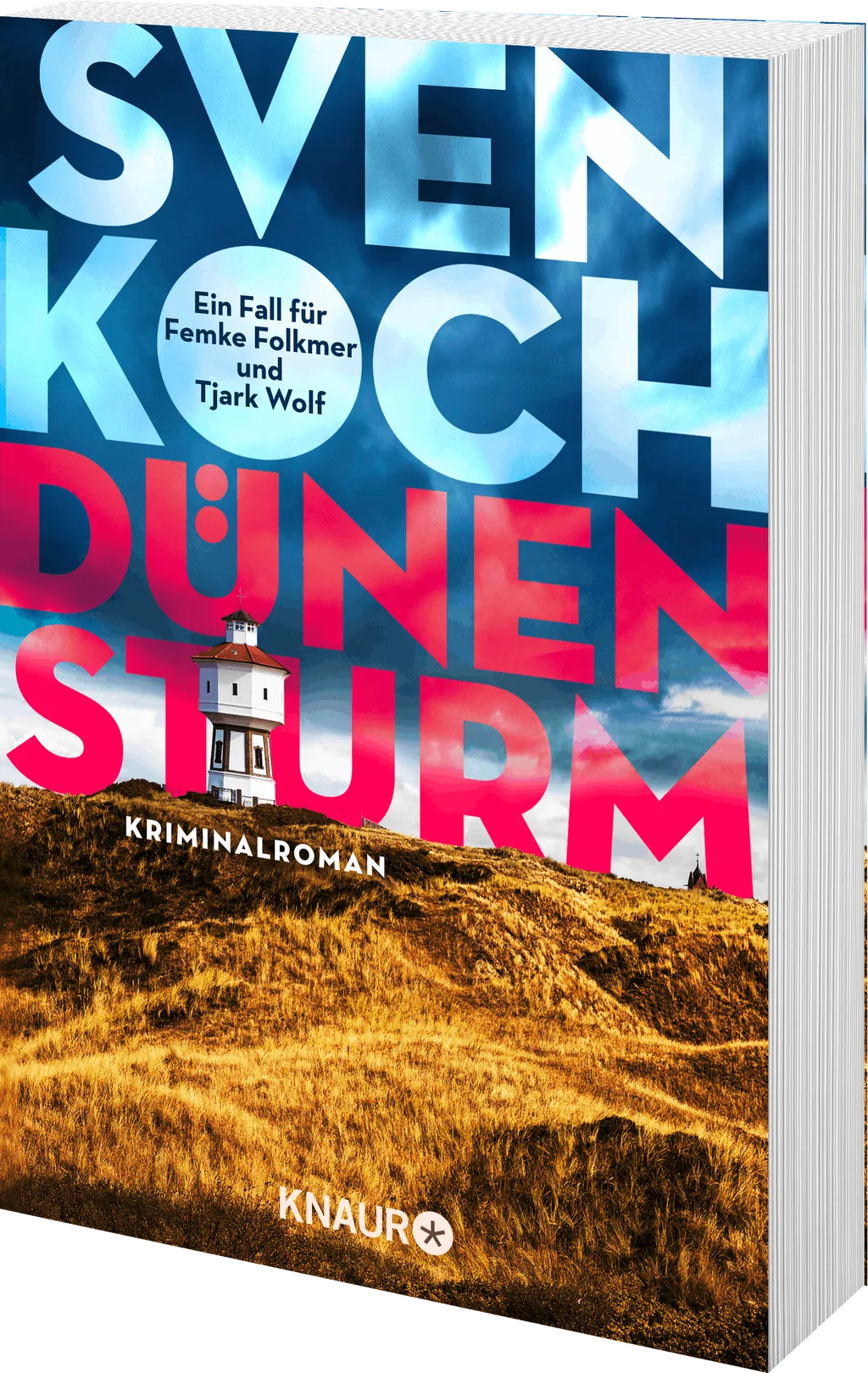 Coverabbildung 1 von Dünensturm