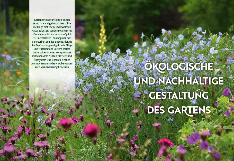 Abbildung 1 von Echte Hitzeprofis