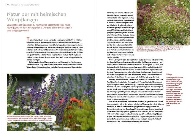 Abbildung 7 von Echte Hitzeprofis