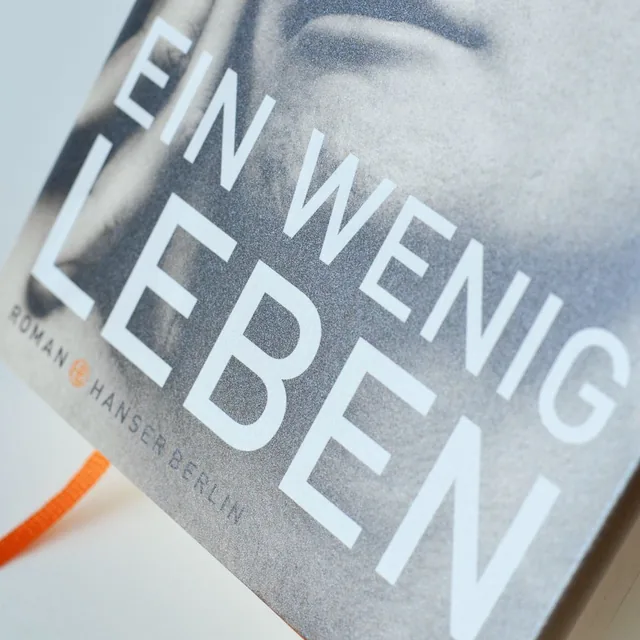 Abbildung 1 von Ein wenig Leben