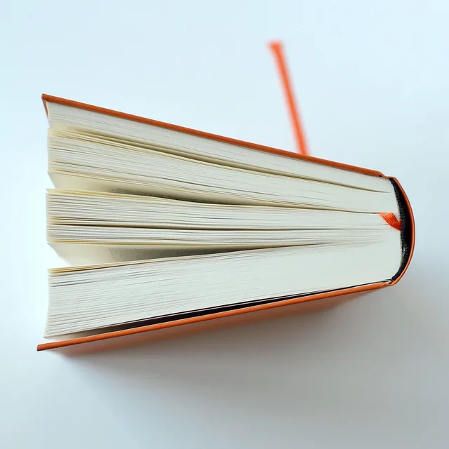 Abbildung 5 von Ein wenig Leben