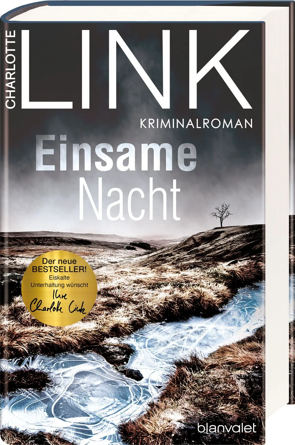 Abbildung 1 von Einsame Nacht