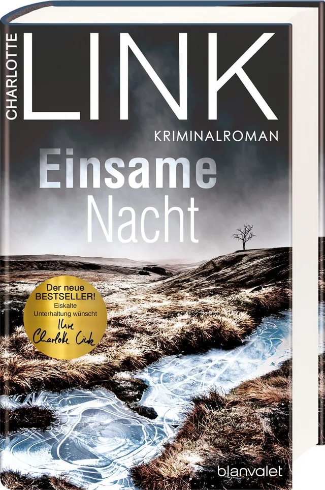 Abbildung 1 von Einsame Nacht