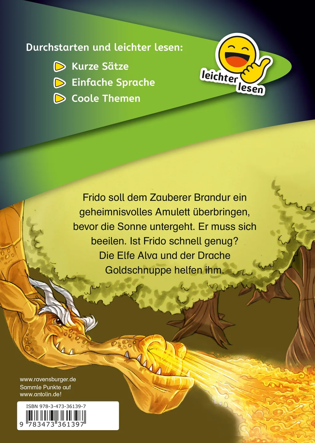 Rückseitenabbildung 1 von Erstleser - leichter lesen: Das verzauberte Amulett