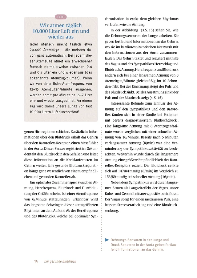 Abbildung 11 von Expertenwissen: Bluthochdruck