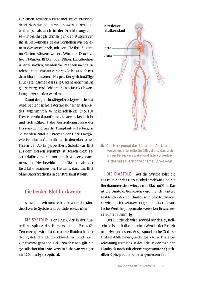 Abbildung 6 von Expertenwissen: Bluthochdruck