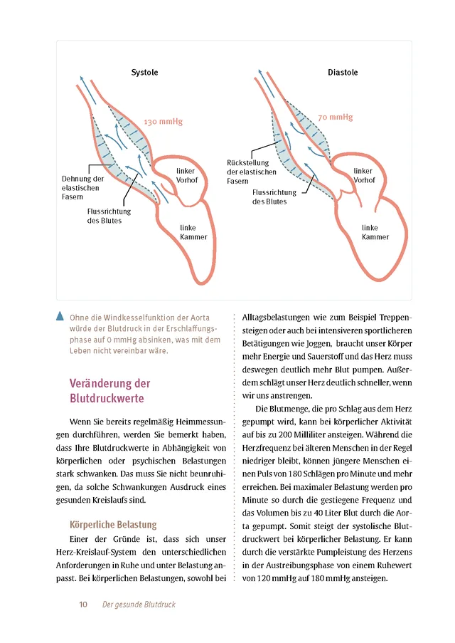 Abbildung 7 von Expertenwissen: Bluthochdruck