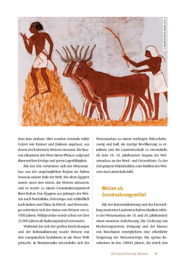 Abbildung 10 von Expertenwissen: Zöliakie