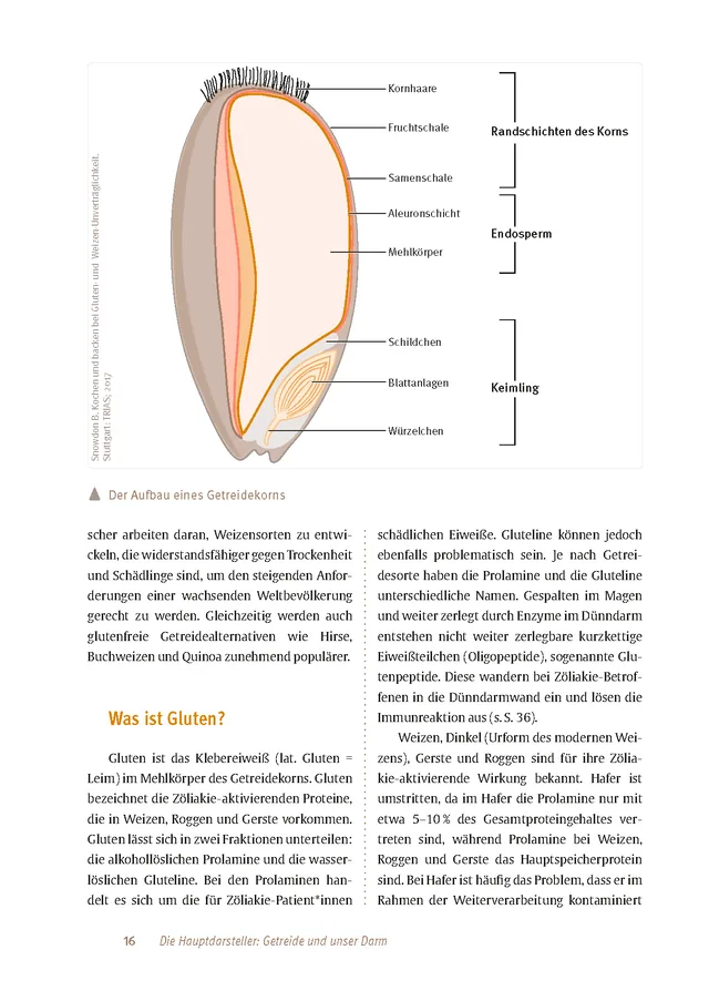 Abbildung 15 von Expertenwissen: Zöliakie
