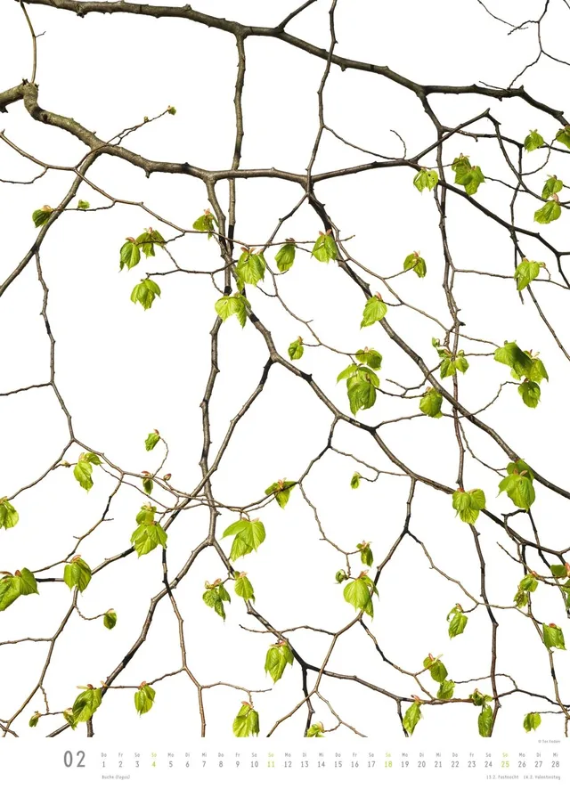 Abbildung 2 von Flora 2018 – Blumen-Kalender von DUMONT– Poster-Format 49,5 x 68,5 cm
