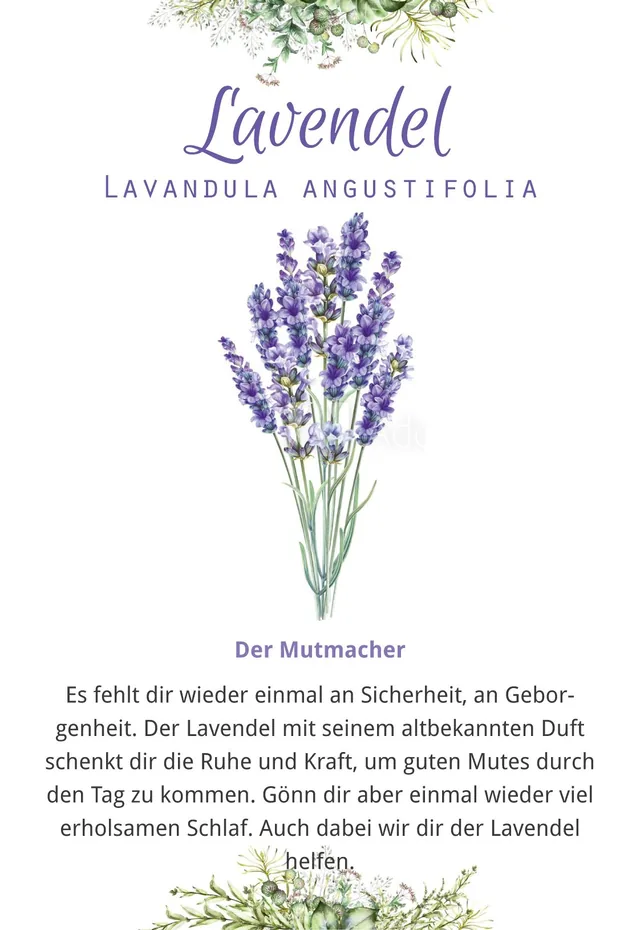 Abbildung 1 von Fräulein Grüns Wohlfühlkräuter-Karten