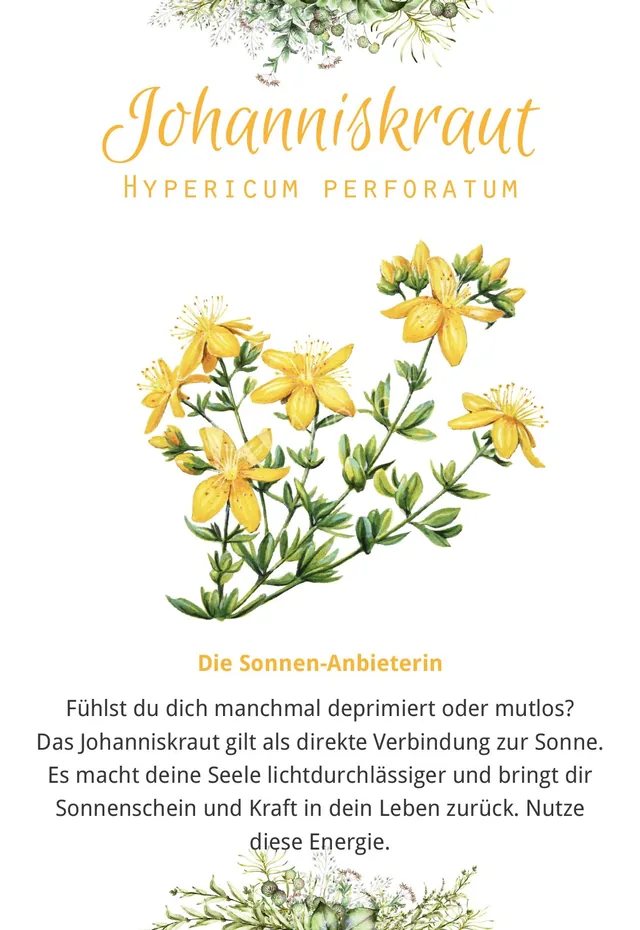 Abbildung 2 von Fräulein Grüns Wohlfühlkräuter-Karten