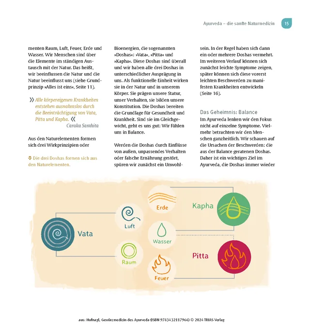 Abbildung 10 von Gewürzmedizin des Ayurveda. Die Heilkraft der Gewürze nutzen