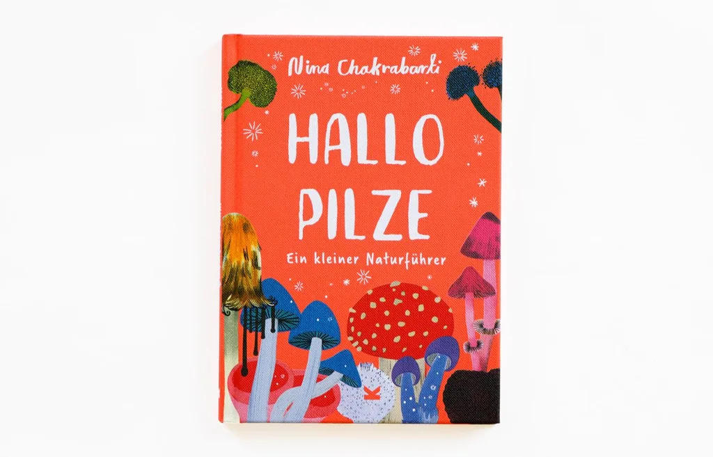 Abbildung 1 von Hallo Pilze