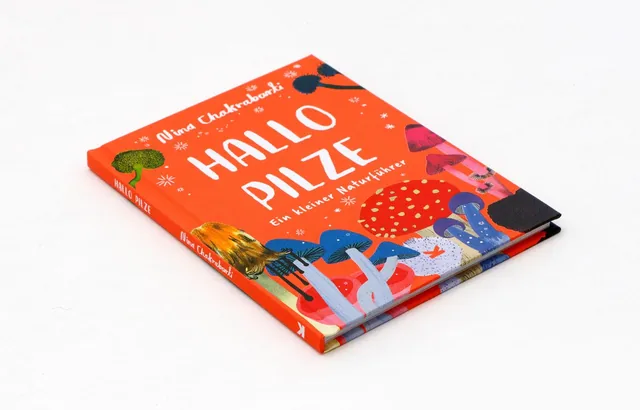 Abbildung 3 von Hallo Pilze