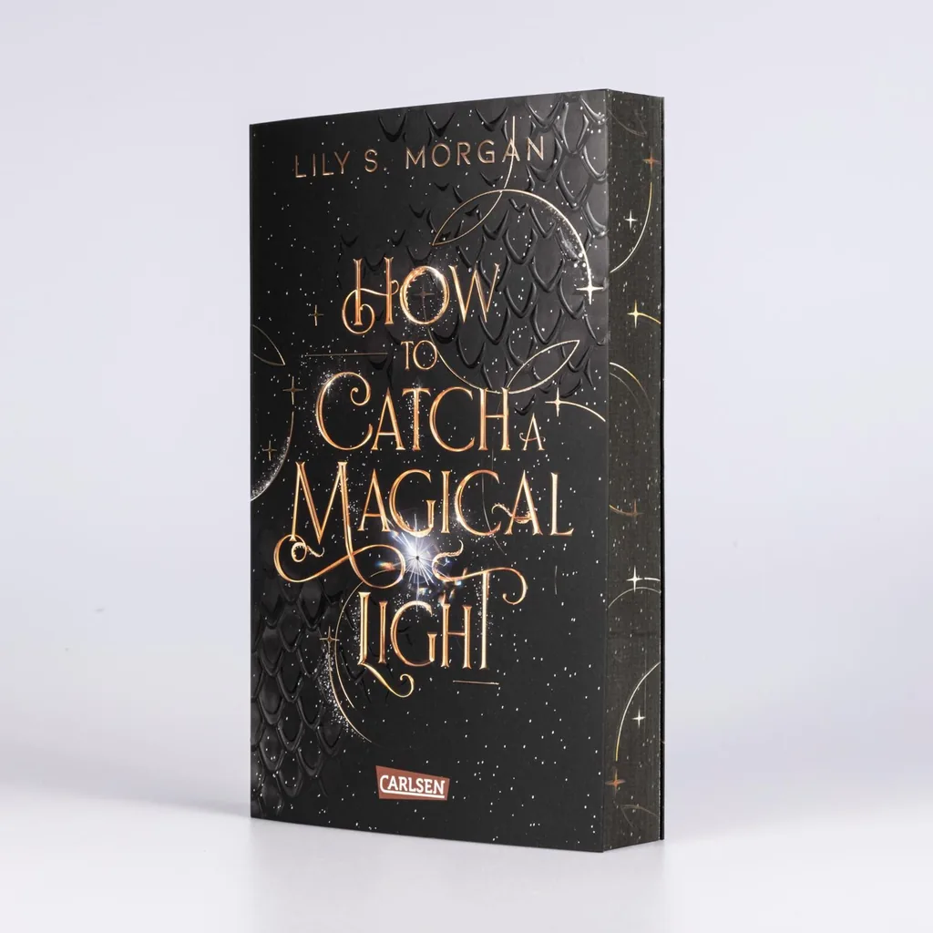 Abbildung 1 von How To Catch A Magical Light
