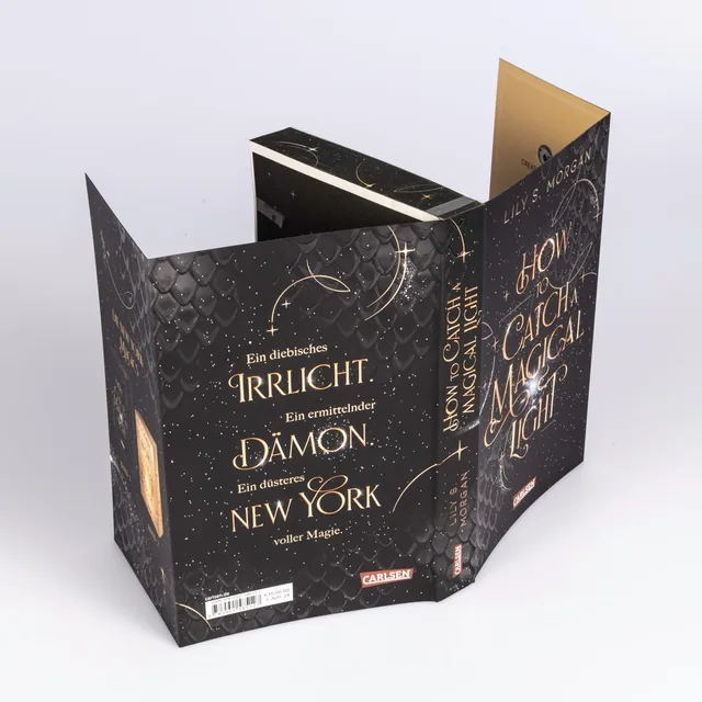 Abbildung 3 von How To Catch A Magical Light