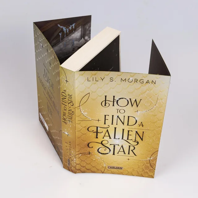 Abbildung 4 von How To Find A Fallen Star