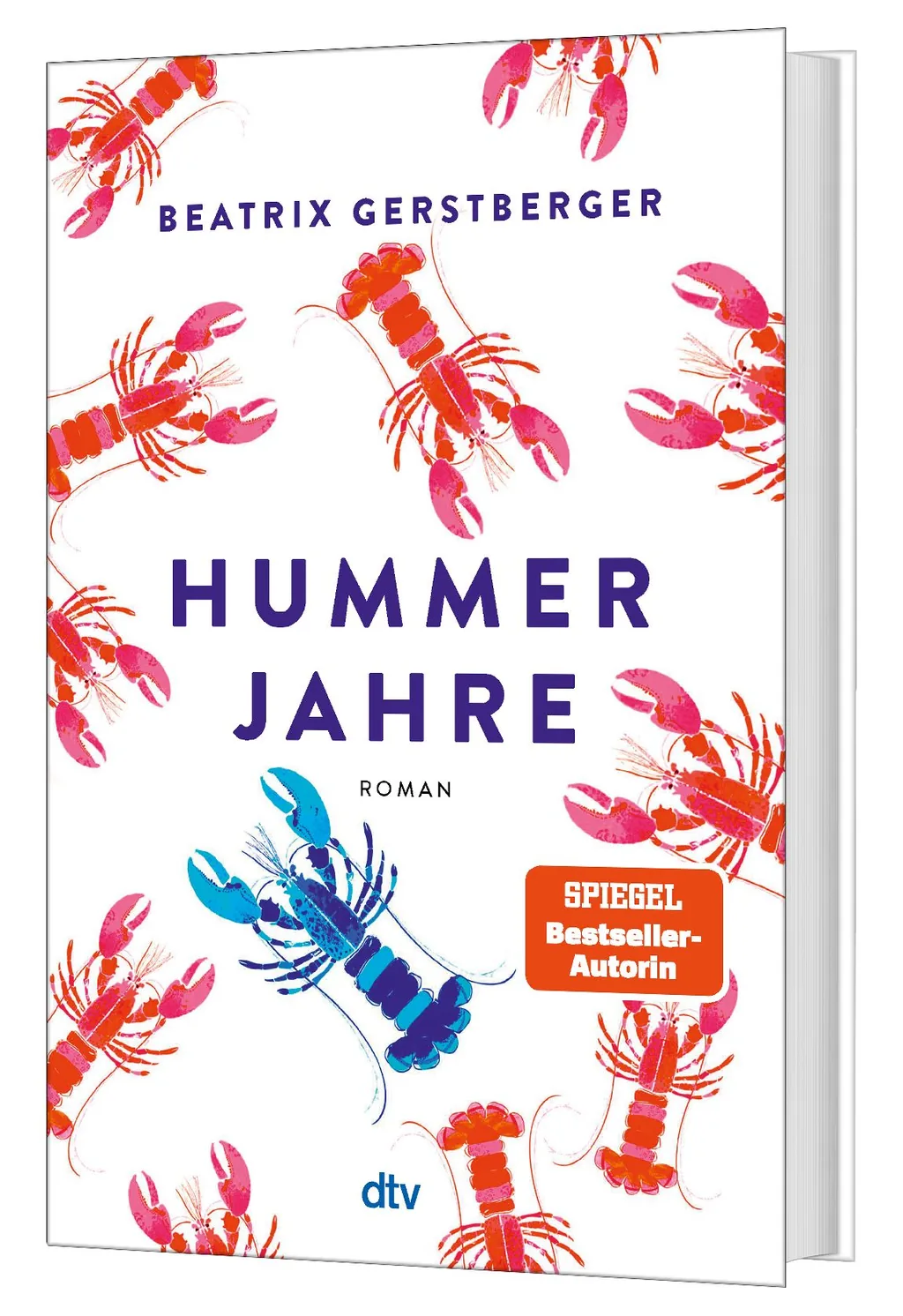 3D Cover von Hummerjahre