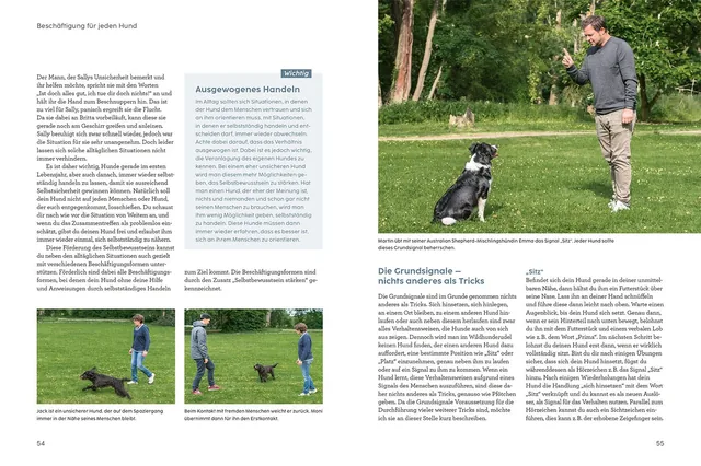 Abbildung 3 von Hunde beschäftigen mit Martin Rütter