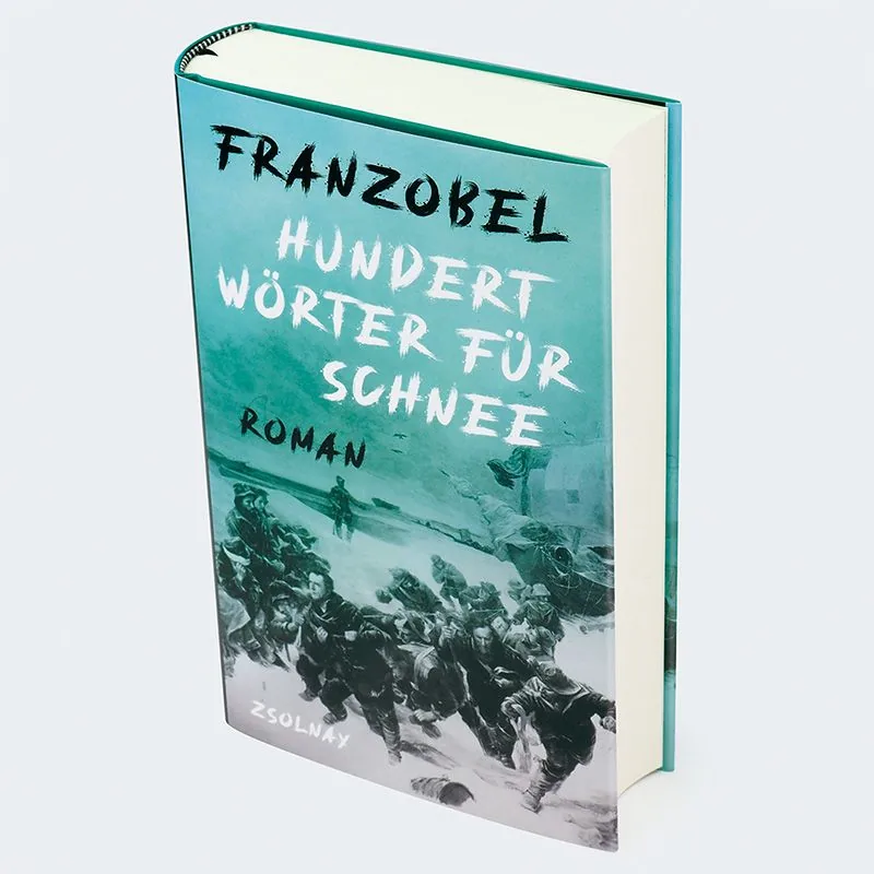 Abbildung 1 von Hundert Wörter für Schnee