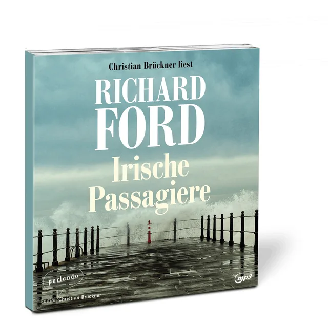 Abbildung 1 von Irische Passagiere