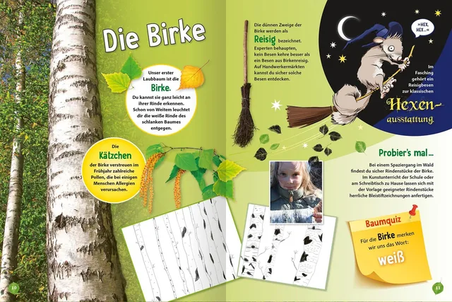 Gezeigt wird eine Innen- oder Zusatzansicht von „Jetzt verstehe ich die Bäume“. Auf der Doppelseite sind hellgrüne und orangefarbene Hintergründe zu sehen, die eine freundliche Atmosphäre schaffen. Der Text ist in klarer, serifenloser Typografie gestaltet