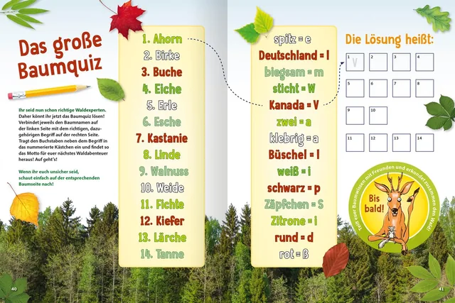 Gezeigt wird eine Innen- oder Zusatzansicht von „Jetzt verstehe ich die Bäume“. Die Seite ist lebhaft gestaltet mit bunten Blättern und Baumillustrationen. Zentrale Elemente sind ein Baumquiz, das auf einer hellgrünen Fläche angeordnet ist, mit farblich u