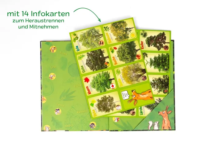 Gezeigt wird eine Innen- oder Zusatzansicht von „Jetzt verstehe ich die Bäume“. Die Darstellung zeigt eine grüne Grundfläche, die mit Illustrationen von Bäumen und Tieren ergänzt ist. Im Mittelpunkt befinden sich 14 Infokarten, die farbenfroh gestaltet si