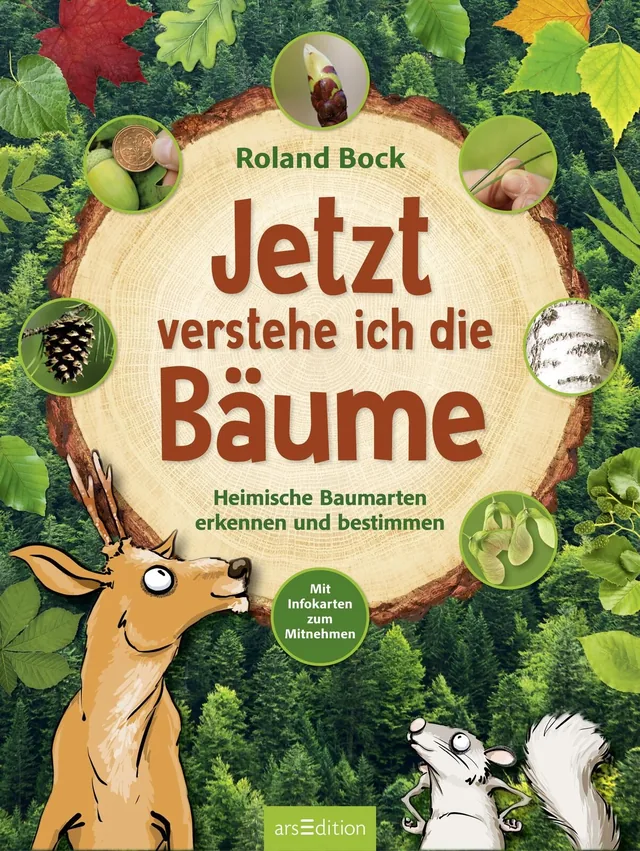 Das Buchcover von Roland Bock zeigt in einem lebendigen grünen Farbton zahlreiche Blätter und Baumarten. In der Mitte ist der Titel „Jetzt verstehe ich die Bäume“ in großen, gelben Buchstaben platziert. Darüber sind runde, grüne Elemente mit Abbildungen v