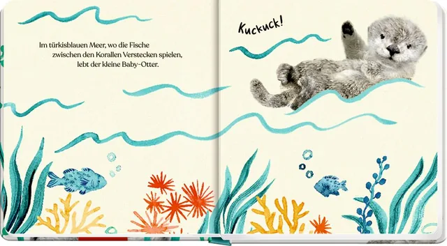 Abbildung 1 von Meine erste Tierbaby-Geschichte: Kleiner Otter