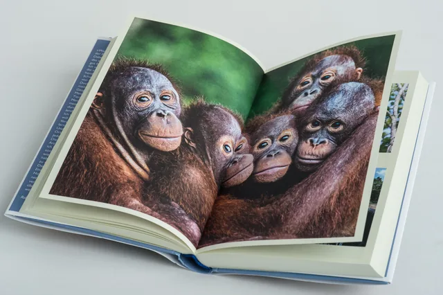 Abbildung 8 von Mission Erde – Die Welt ist es wert, um sie zu kämpfen