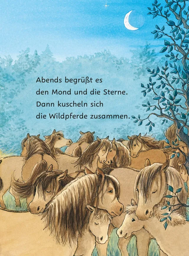 Abbildung 6 von Ponyherz und Herr Franz: Die geklaute Wurst