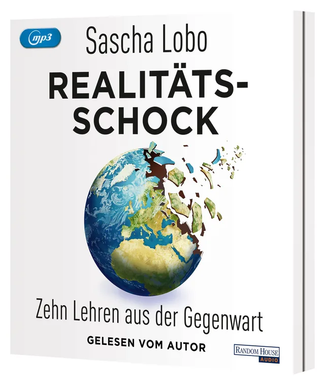 Abbildung 1 von Realitätsschock