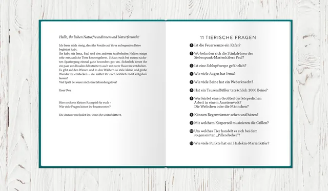 Abbildung 6 von Rosalie, die Feuerwanze
