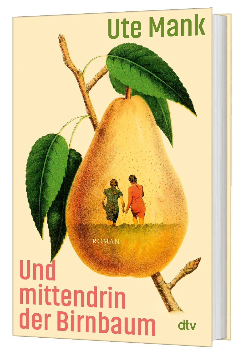 3D Cover von Und mittendrin der Birnbaum
