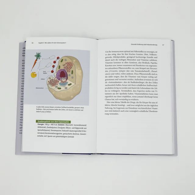 Abbildung 3 von Unser erstaunliches Immunsystem