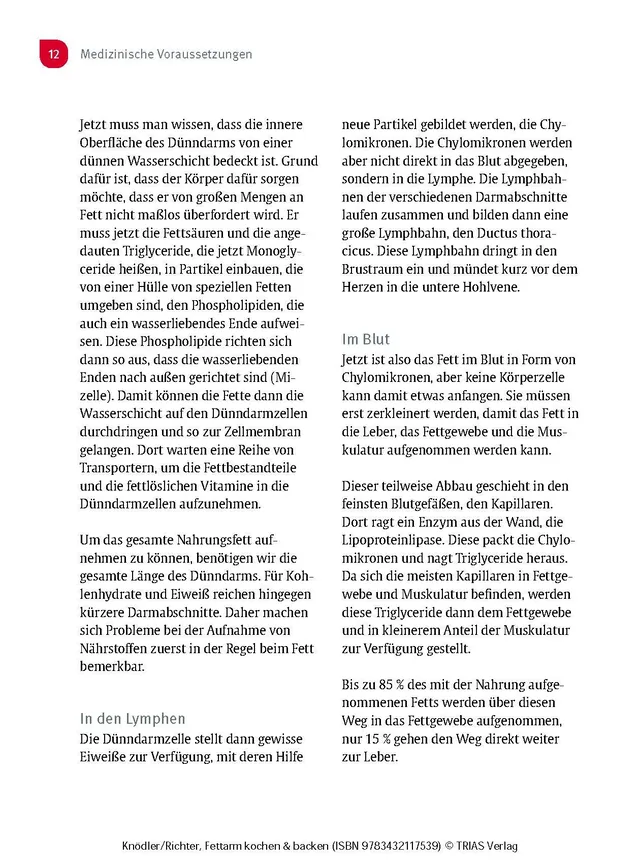 Abbildung 6 von Vitamin D