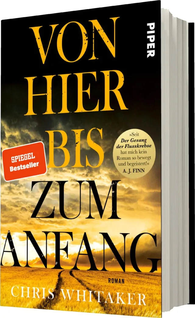Das Buchcover zeigt einen dramatischen Himmel in warmen Gelbtönen, der in dunklere Bereiche übergeht. Im Vordergrund sind geschwungene Felder zu sehen, die eine weitläufige Landschaft darstellen. Der Titel „VON HIER BIS ZUM ANFANG“ ist groß und auffällig