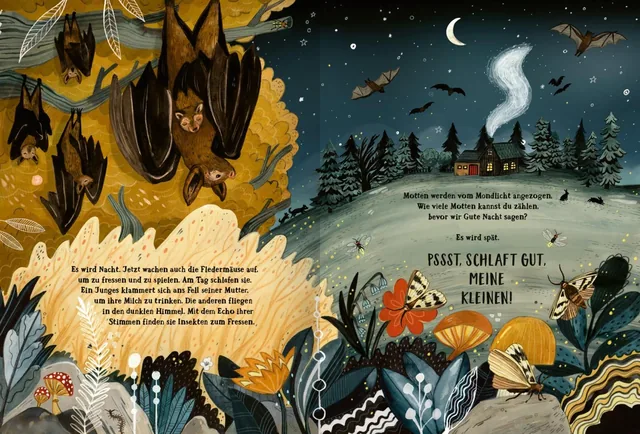Gezeigt wird eine Innen- oder Zusatzansicht von „Wald der Wunder“. Die Illustration zeigt eine nächtliche Szenerie mit schlafenden Fledermäusen, die kopfüber an Branches hängen. Im Vordergrund sind farbenfrohe Blumen und Pflanzen in lebendigen Farben wie