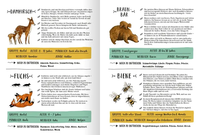 Gezeigt wird eine Innen- oder Zusatzansicht von „Wald der Wunder“. Die Seite enthält illustrierte Tierbeschreibungen mit bunten, handgezeichneten Bildern. Die Farben variieren von sanften Erdtönen bis zu lebhaften Akzenten. Auf der linken Seite sind der D