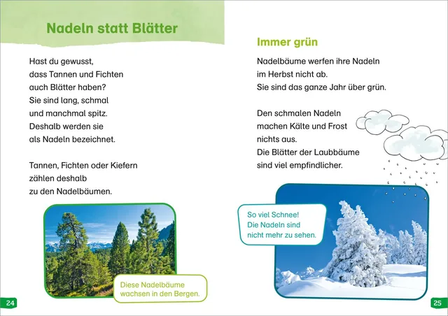 Abbildung 4 von WAS IST WAS Erstes Lesen easy! Band 1. Entdecke die Bäume